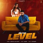 Level