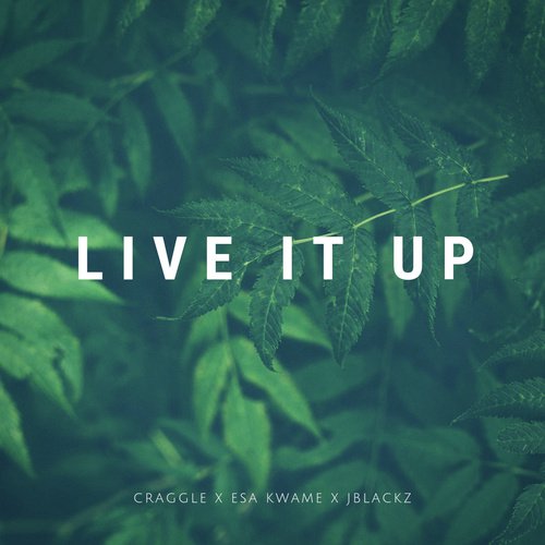 Live It Up cover art
