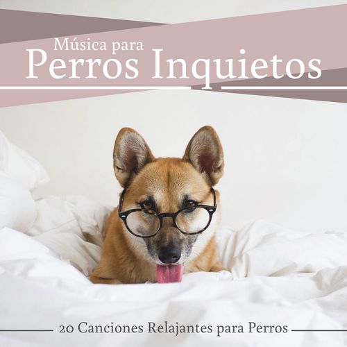 Solo en Casa cover art
