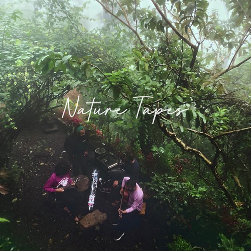 Nature Tapes, Vol. 1