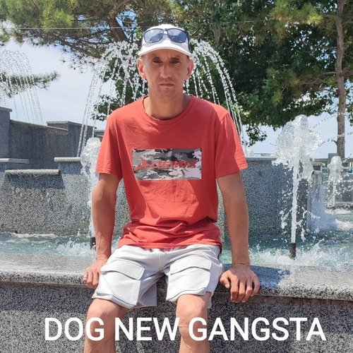 New Gangsta