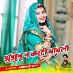 झुंझुनूं न करदी बावलों