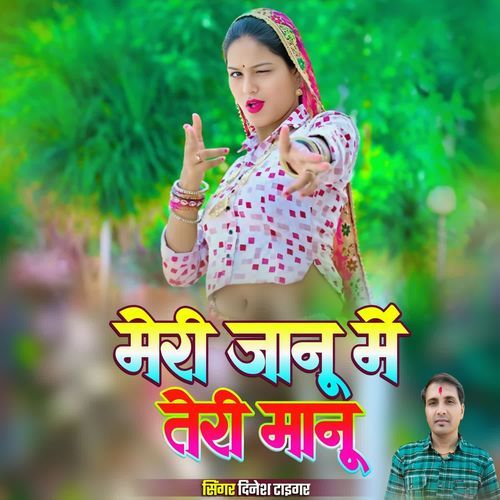 मेरी जानू में तेरी मानू
