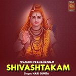 Prabhu Pranaadham_Shivashtakam