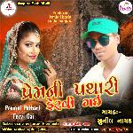 Premni Pathari Fervi Gai