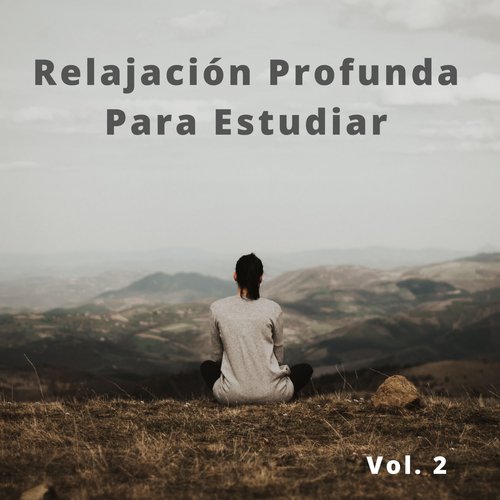 Música Para El Recreo De Café cover art