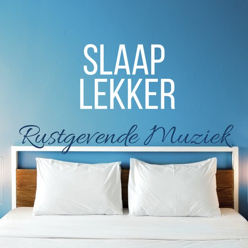 Zonnegroet cover art