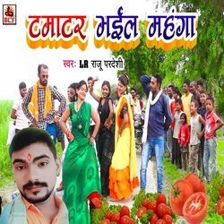 Tamatar Bhail Mahanga