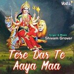 Tere Dar Te Aaya Maa