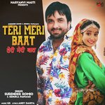 Teri Meri Baat