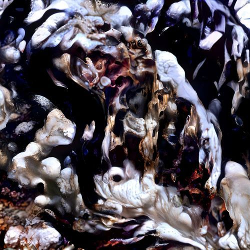 The Void Knows No Names cover art