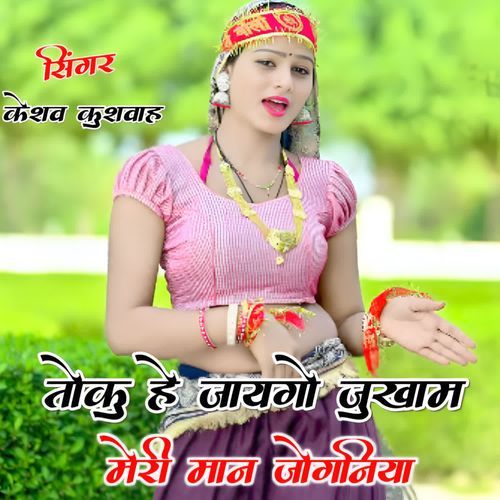 Toku Hai Jaygo Jukam Meri Maan Jogniya cover art
