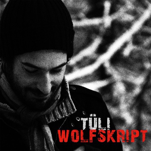 Wolfskript_poster_image