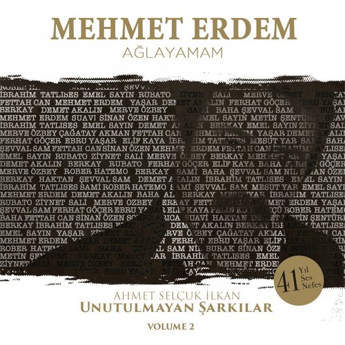 Ağlayamam (Ahmet Selçuk İlkan Unutulmayan Şarkılar, Vol. 2)_poster_image