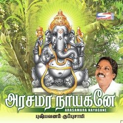 Arumugan Sagotharane-EwcGQAJ5UUk