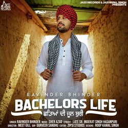 Bachelors Life Chhadeyaan Di Joon Buri-AiYdZDVHaEM