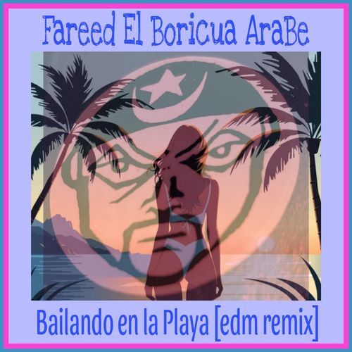 Bailando En La Playa [Edm Remix] cover art