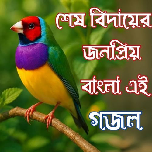 Biday Bela