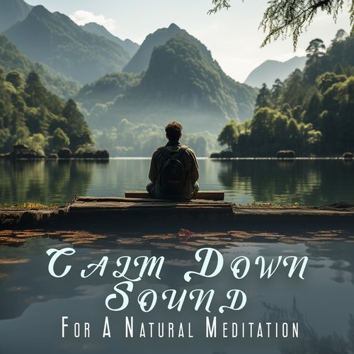 Cat Music Therapy cover art