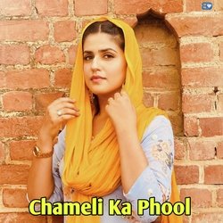 Chameli Ka Phool-FB0ydjAJcAA