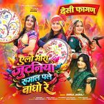 Desi Fagan -Alo Mhara Jutniya Rumal Pale Bandho Re