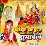 Didi Ke Har Saal Mela Ghumawe La