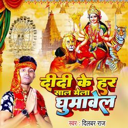 Didi Ke Har Saal Mela Ghumawe La