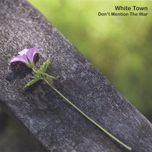 Don't Mention The War