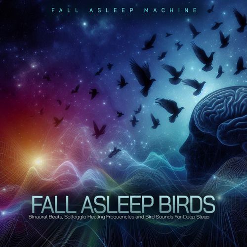 Fall Asleep Machine