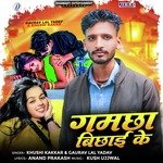 Gamchha Bichhai Ke