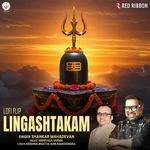 Lingashtakam - Lofi Flip