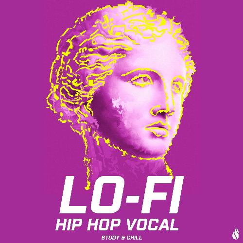 Lofi Hip Hop Vocal Beats Chill & Study