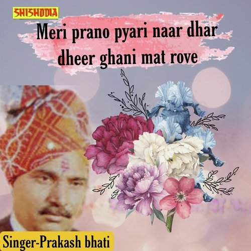 Meri Prano Pyari Naar Dhar Dheer Ghani Mat Rove