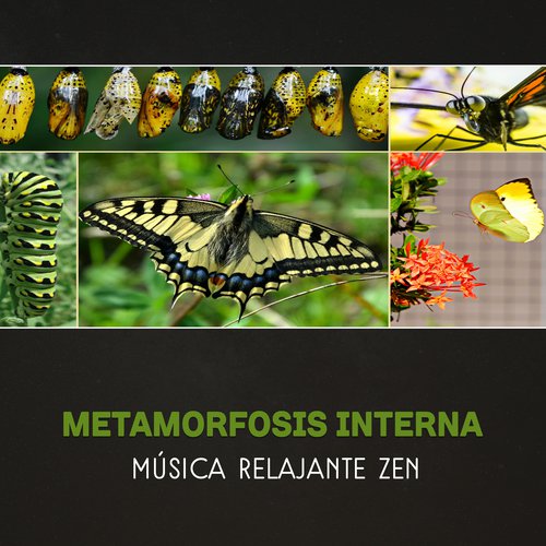Tecnicas de Relajacion cover art