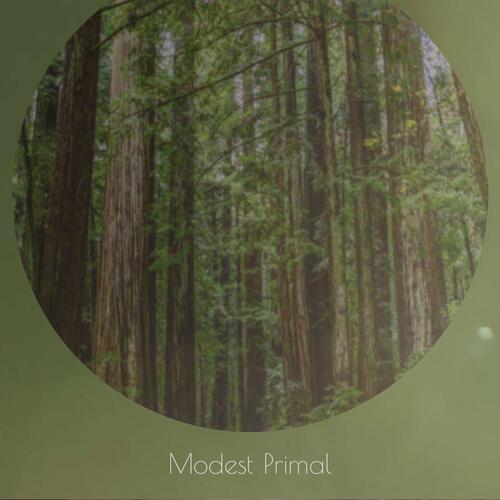 Modest Primal cover art