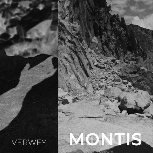 Virgo cover art