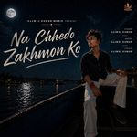 Na Chhedo Zakhmon Ko