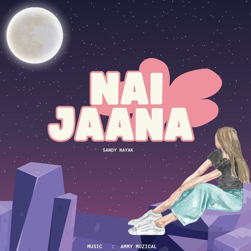 Nai Jaana