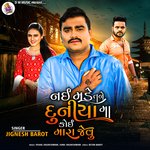 Nai Made Tane Duniya Ma Koi Mara Jevu