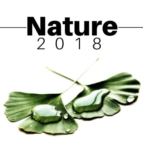 Natura 2018 cover art