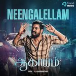 Neengalellam (From "Aagayam")