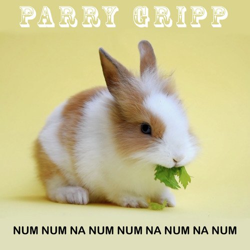 Num Num Na Num Num Na Num Na Num