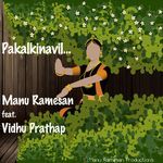 Pakalkinavil