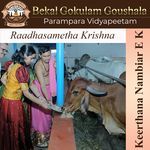 Raadhasametha Krishna
