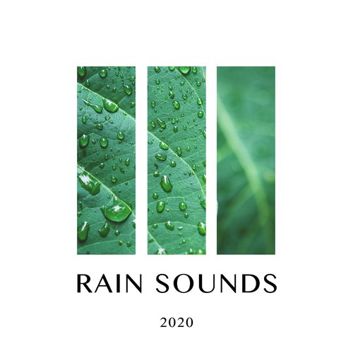Nature White Noise cover art