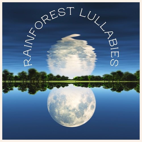 Rainforest Lullabies - Nature Sounds for Sleep_poster_image