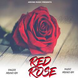 Red Rose-QxA4BxtiXEc