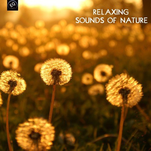 Relaxing Sounds of Nature White Noise for Mindfulness Meditation and Relaxation