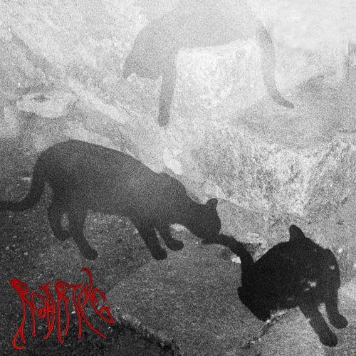 Roaring (Remix)