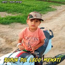 Robin Dil Lego Mewati-PB8MQCBSAAA